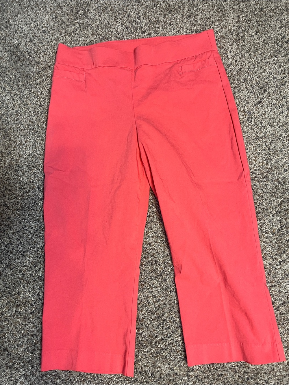 Briggs New York Coral Pull-On Cropped Pants, Size 16